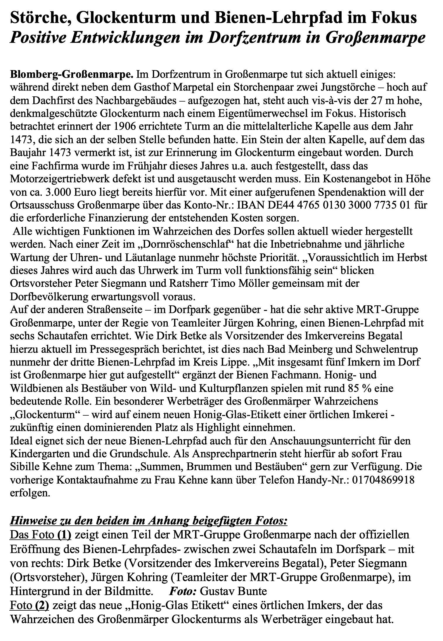 Störche
